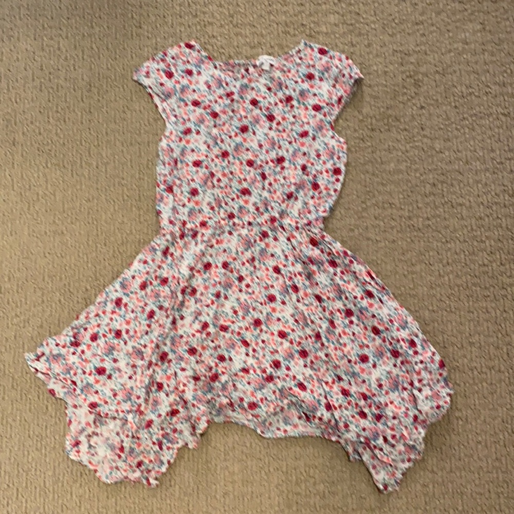 Splendid Floral Dress